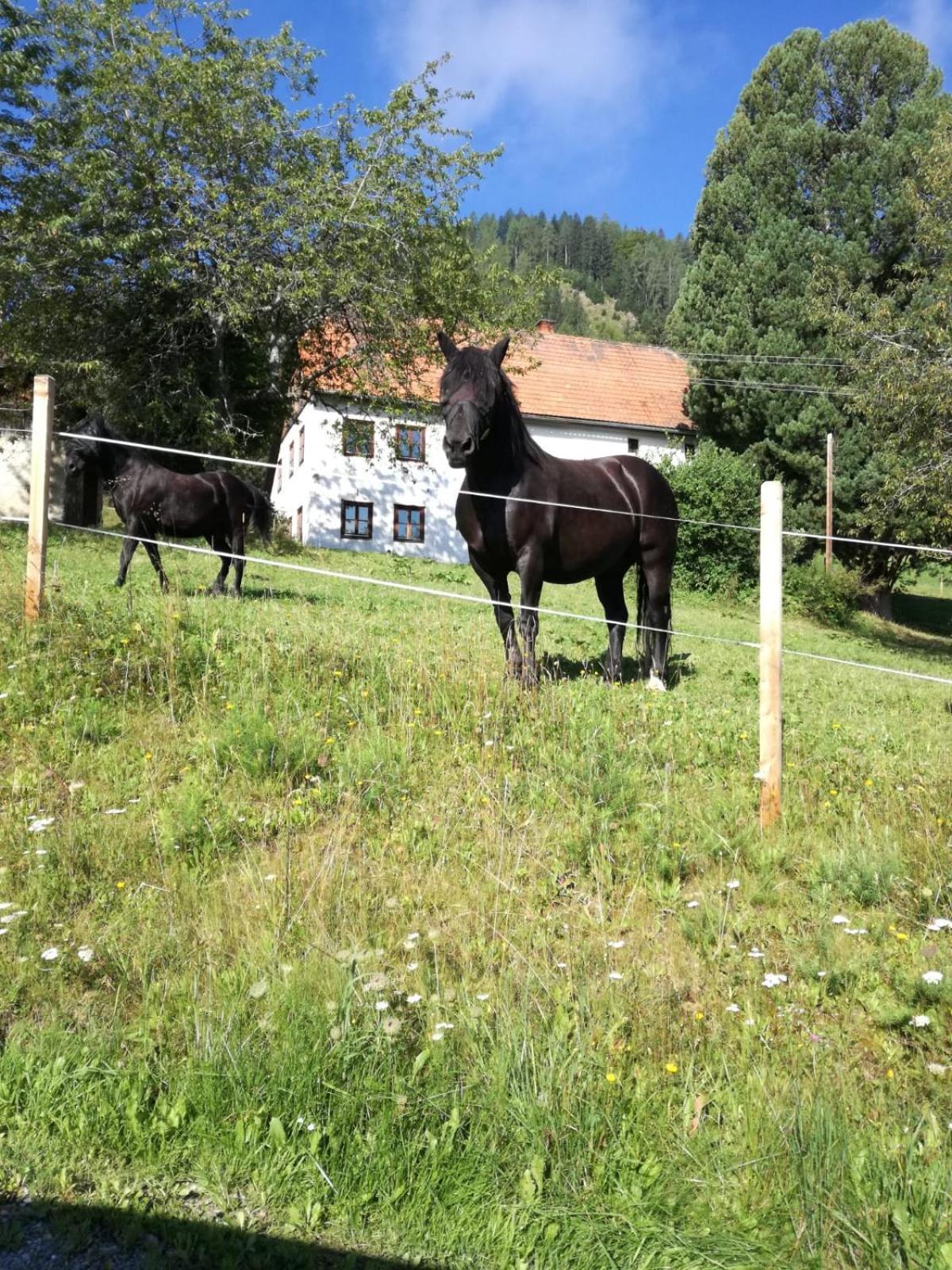 Chalet Bergblick Sankt Blasen Bagian luar foto